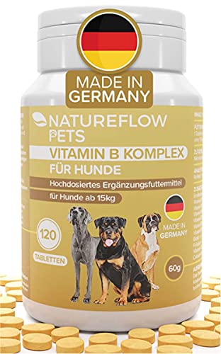 Vitamine B-complex Hond - Hoge dosering B-vitaminen voor honden vanaf 15 kg - 120 vitaminetabletten - Aangevuld met K3, foliumzuur, calcium en biotine - Voedingssupplementen gemaakt in Duitsland