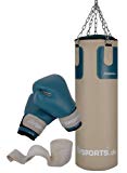 ScSPORTS bokszakset met bokszak van 25 kg | inclusief bokshandschoenen, boksbandages en 5-punts stalen ketting | beige/petrol