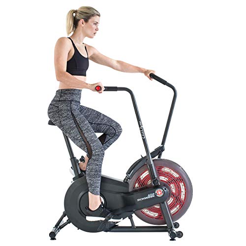 Schwinn Airdyne AD2, fitnessfiets met grenzeloze luchtweerstand, LCD-console, krachtige aandrijfriem, transportwielen, max. gebruikersgewicht 113 kg