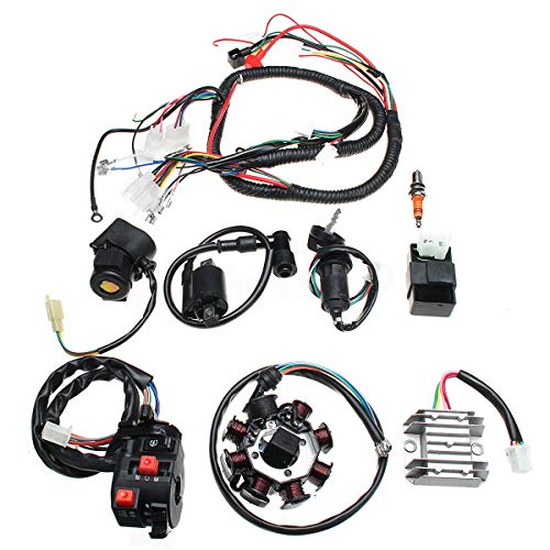 Riloer Compleet Bedrading Harnas kit Draadweefgetouw Electrics Stator Coil CDI Fit Voor Chinese Crossmotor ATV QUAD CG125-250CC